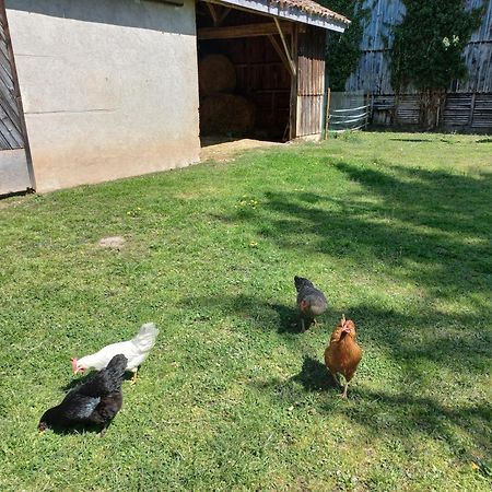 L' Embellie Sur Lot Bed & Breakfast Sainte-Livrade-sur-Lot Luaran gambar